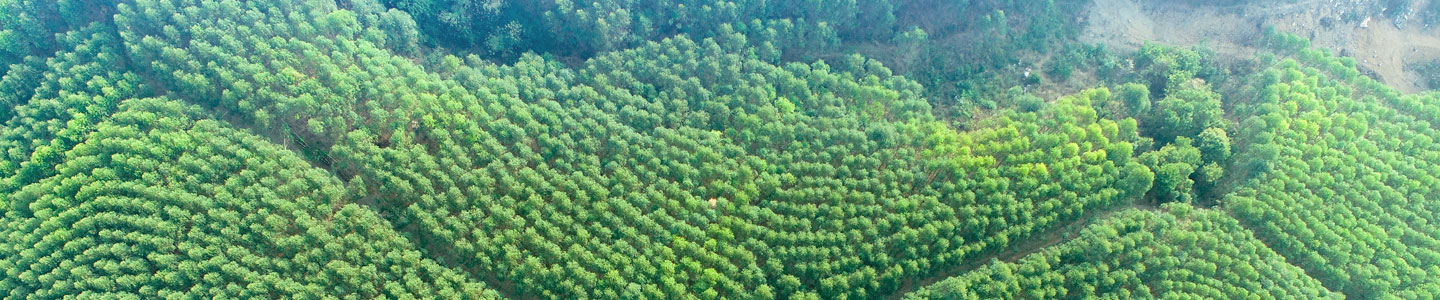 78m威九国际(集团)中国区有限公司-BinG百科