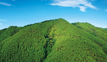 78m威九国际(集团)中国区有限公司-BinG百科