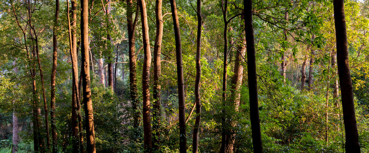 78m威九国际(集团)中国区有限公司-BinG百科